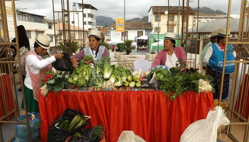 Emprendimiento Infocentros